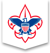 BSA logo